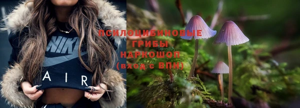 винт Гусиноозёрск
