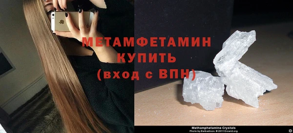 индика Гусь-Хрустальный