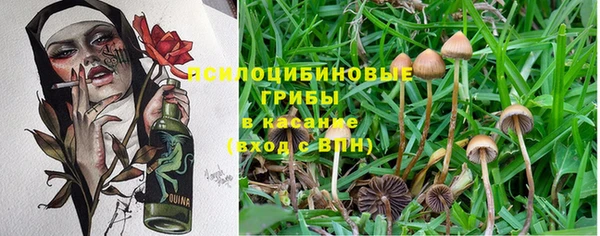 мет Гусев