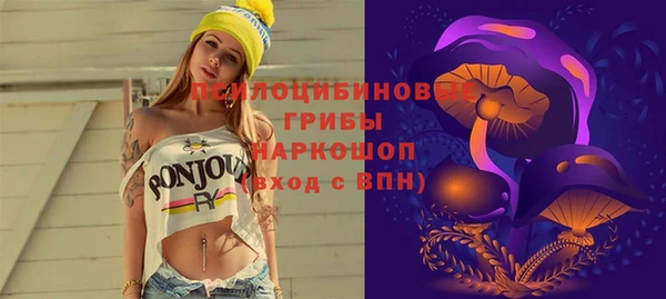 мет Гусев