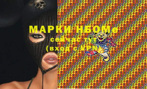 хмурый Тында