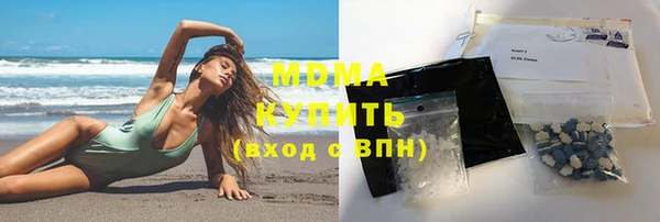 индика Гусь-Хрустальный