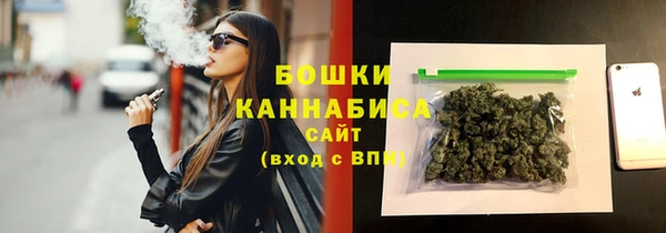 индика Гусь-Хрустальный