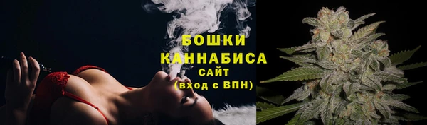 винт Гусиноозёрск