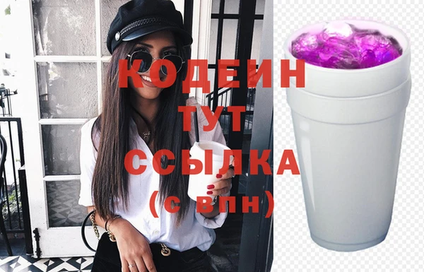 индика Гусь-Хрустальный