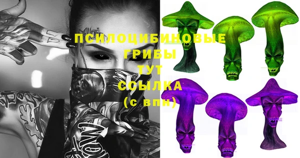 винт Гусиноозёрск