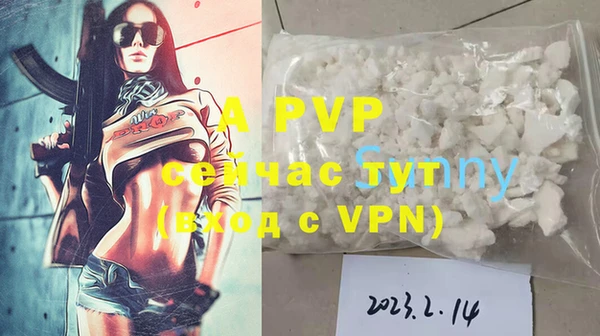 индика Гусь-Хрустальный