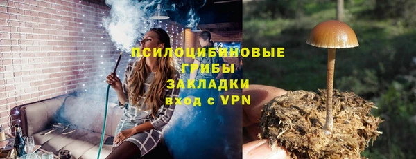 винт Гусиноозёрск