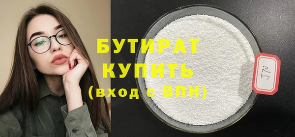 индика Гусь-Хрустальный