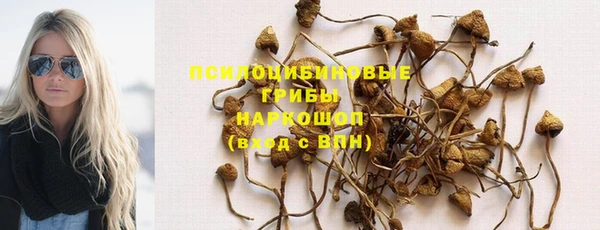 индика Гусь-Хрустальный