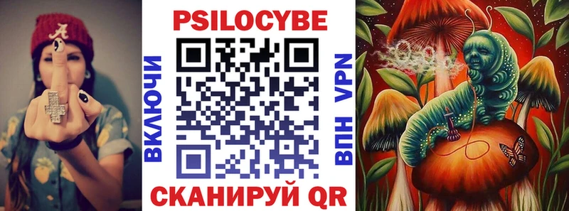 Галлюциногенные грибы Psilocybe  где найти наркотики  Жиздра 