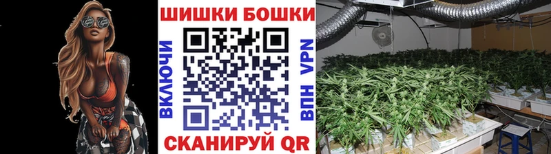МАРИХУАНА SATIVA & INDICA Жиздра